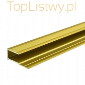 Aluminiowa Listwa panelowa BORCK 16x8 złoto dł:1,8m